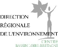 DIREN Logo